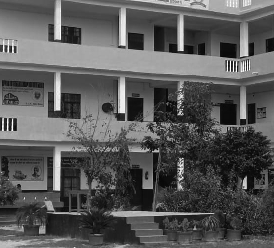 Shaping Tomorrow's Leaders